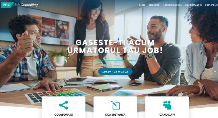 Pro Job Consulting